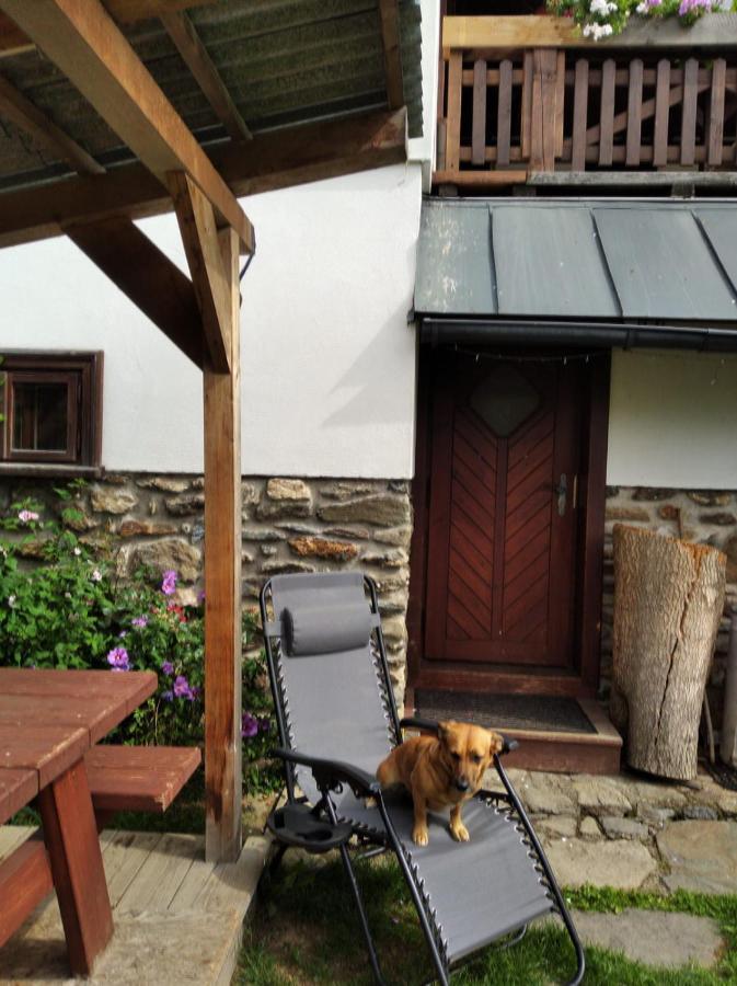 Frantiskov 17 Apartment Rokytnice nad Jizerou Bagian luar foto