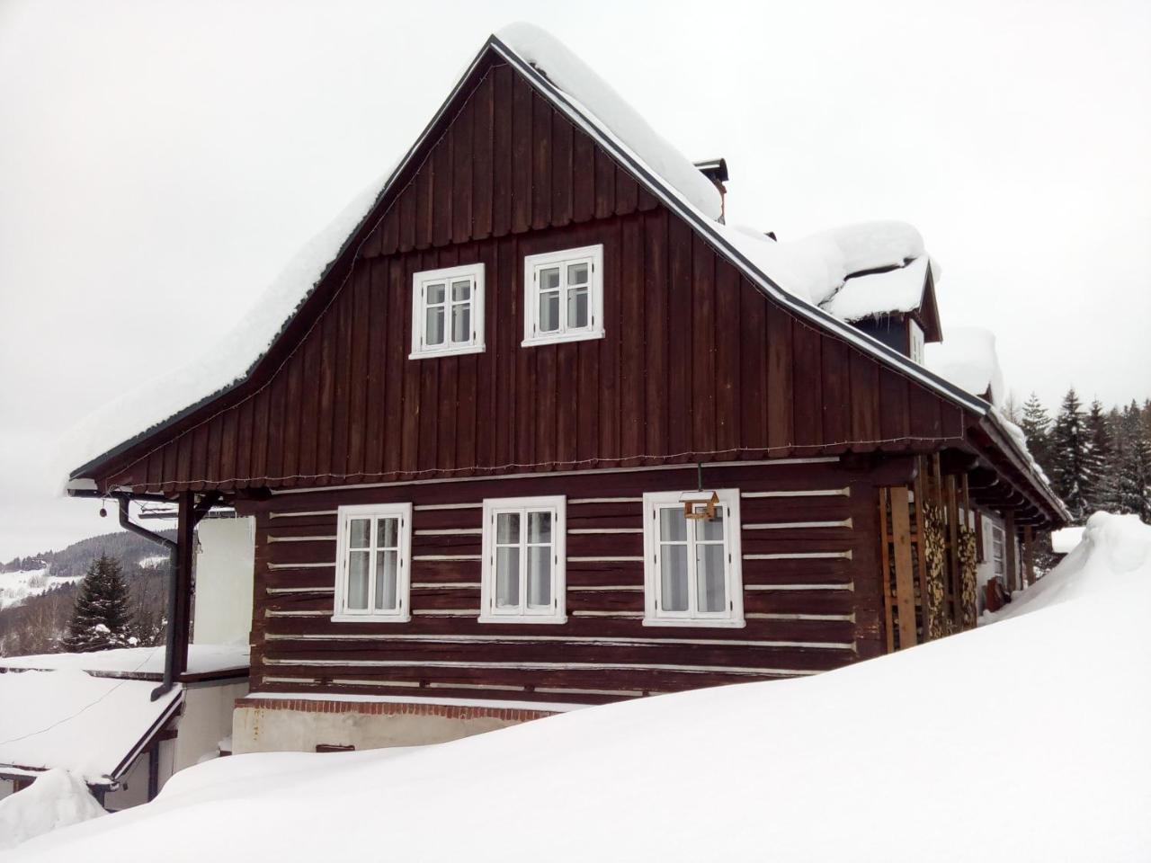 Frantiskov 17 Apartment Rokytnice nad Jizerou Bagian luar foto