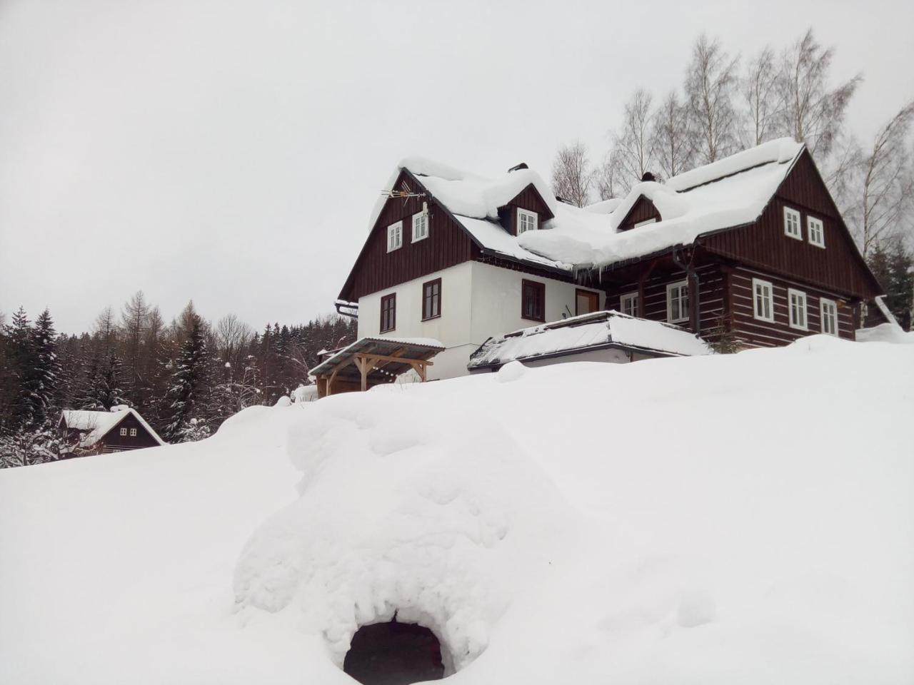 Frantiskov 17 Apartment Rokytnice nad Jizerou Bagian luar foto